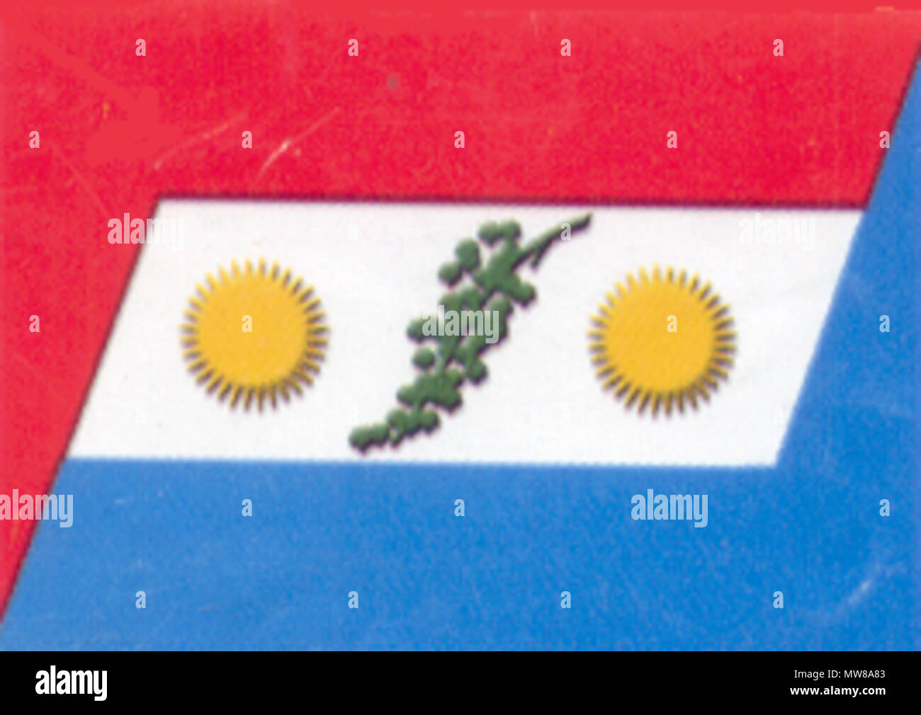 . Español : Bandera de James Craik English : JAMES CRAIK FLAG . 18 juillet 2014, 19:25:51. GLADYS COMBA 71 Bandera de James Craik Banque D'Images