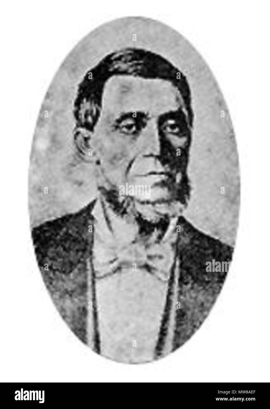 . French : Photo de Luís Gonçalves das Chagas, Baron de Candiota Português : Retrato de Luís Gonçalves das Chagas, Barão de Candiota . vers 1890. Acervo familiariser 71 Barao de Candiota Banque D'Images