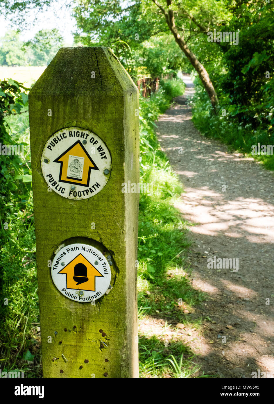 Thames Path Signe, Thames Path, Tamise, nr Maidenhead, Berkshire, Angleterre, RU, FR. Banque D'Images