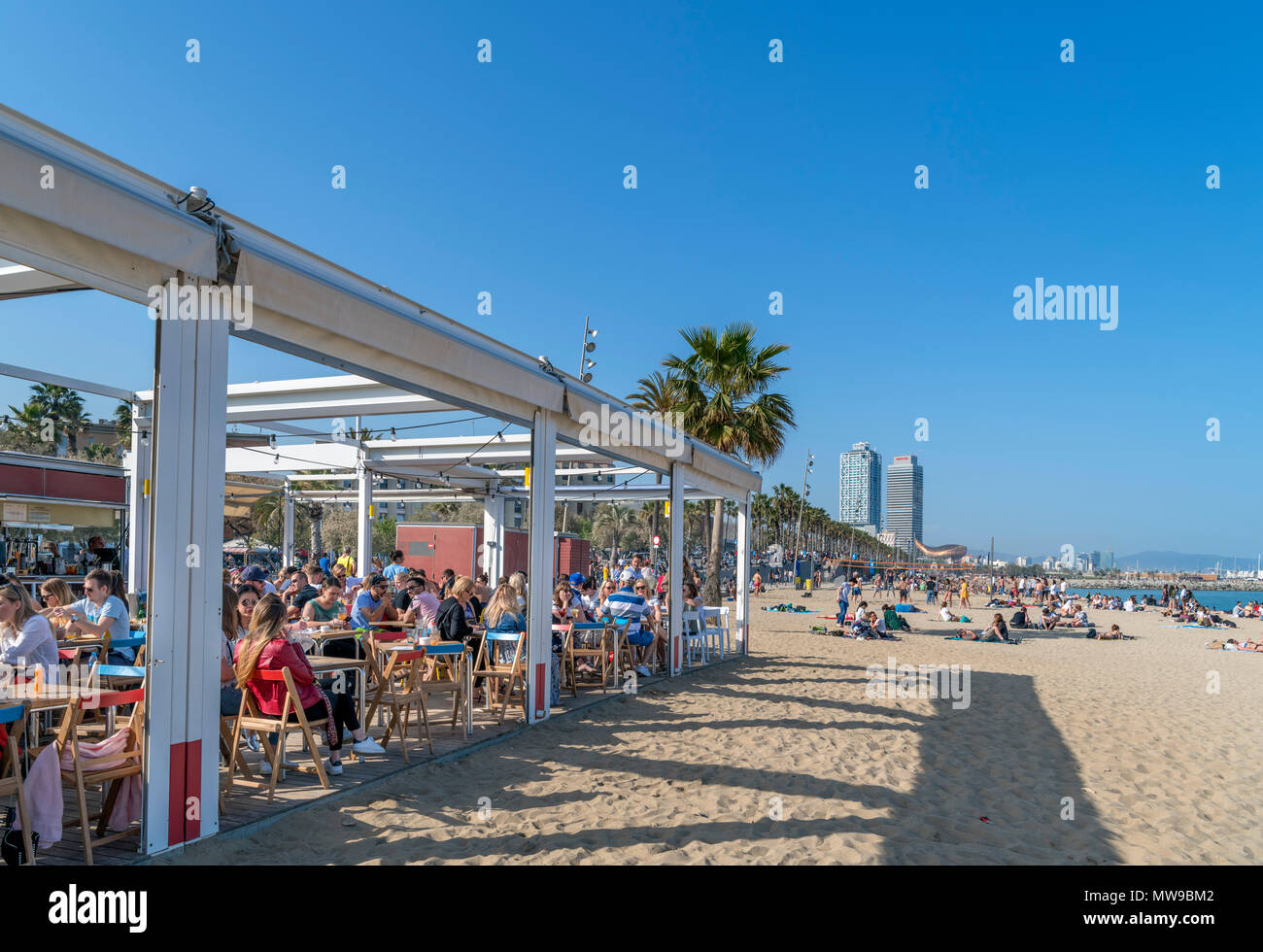 La plage de Barcelone. Le bar de la plage Platja de Sant Miquel, la Barceloneta, Barcelone, Espagne Banque D'Images