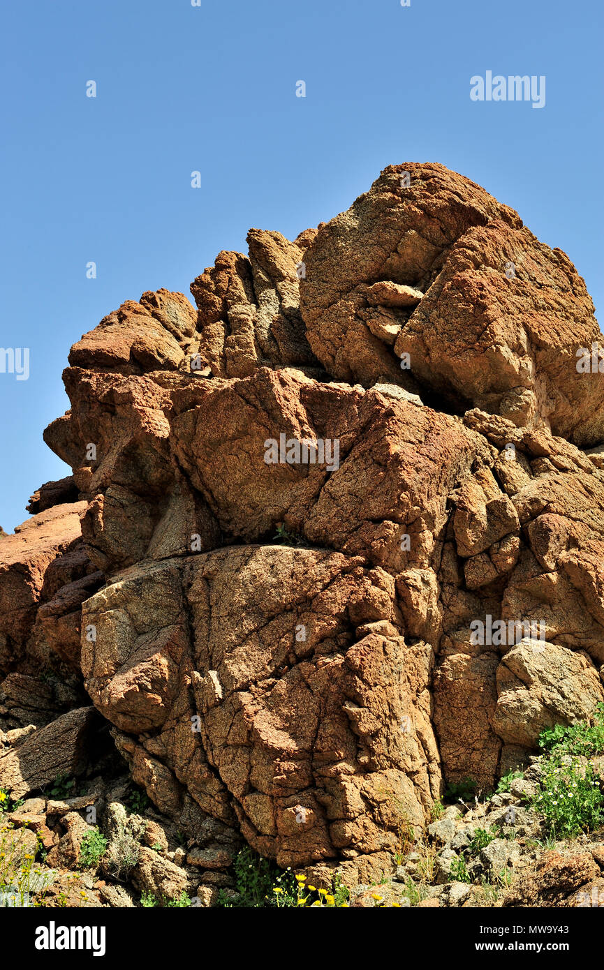 Granit métamorphique rouge, Brittlebush, guayacan, Goldenhills, Encelia Farinosa, Canyon Glorietta, Anza-Borrego Desert State Park, CA 35158 100327 Banque D'Images