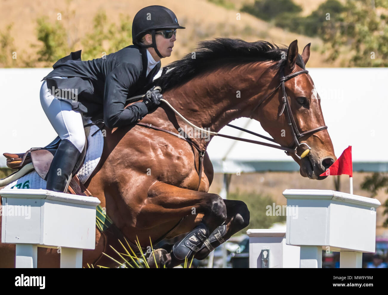 Le cheval et le cavalier au saut d'intimité de l'hôtel del mar horsepark Banque D'Images
