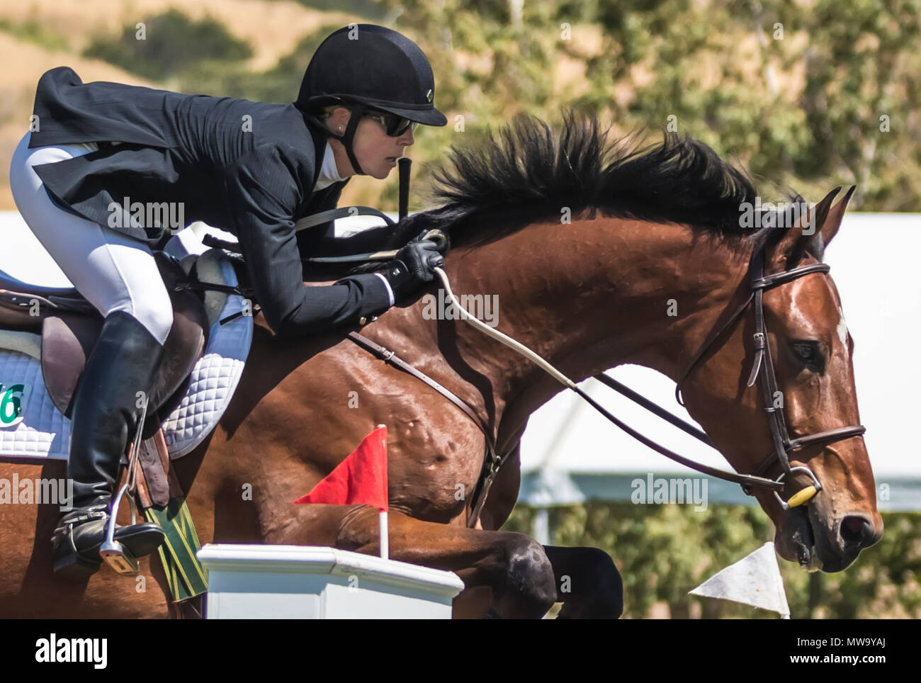 Le cheval et le cavalier au saut d'intimité de l'hôtel del mar horsepark Banque D'Images