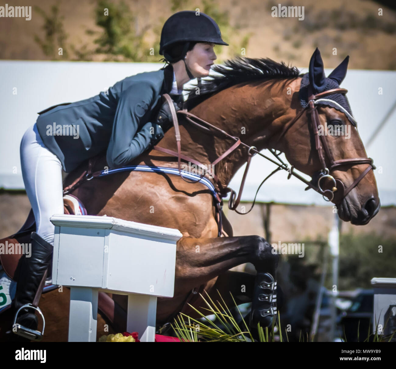 Le cheval et le cavalier au saut d'intimité de l'hôtel del mar horsepark Banque D'Images