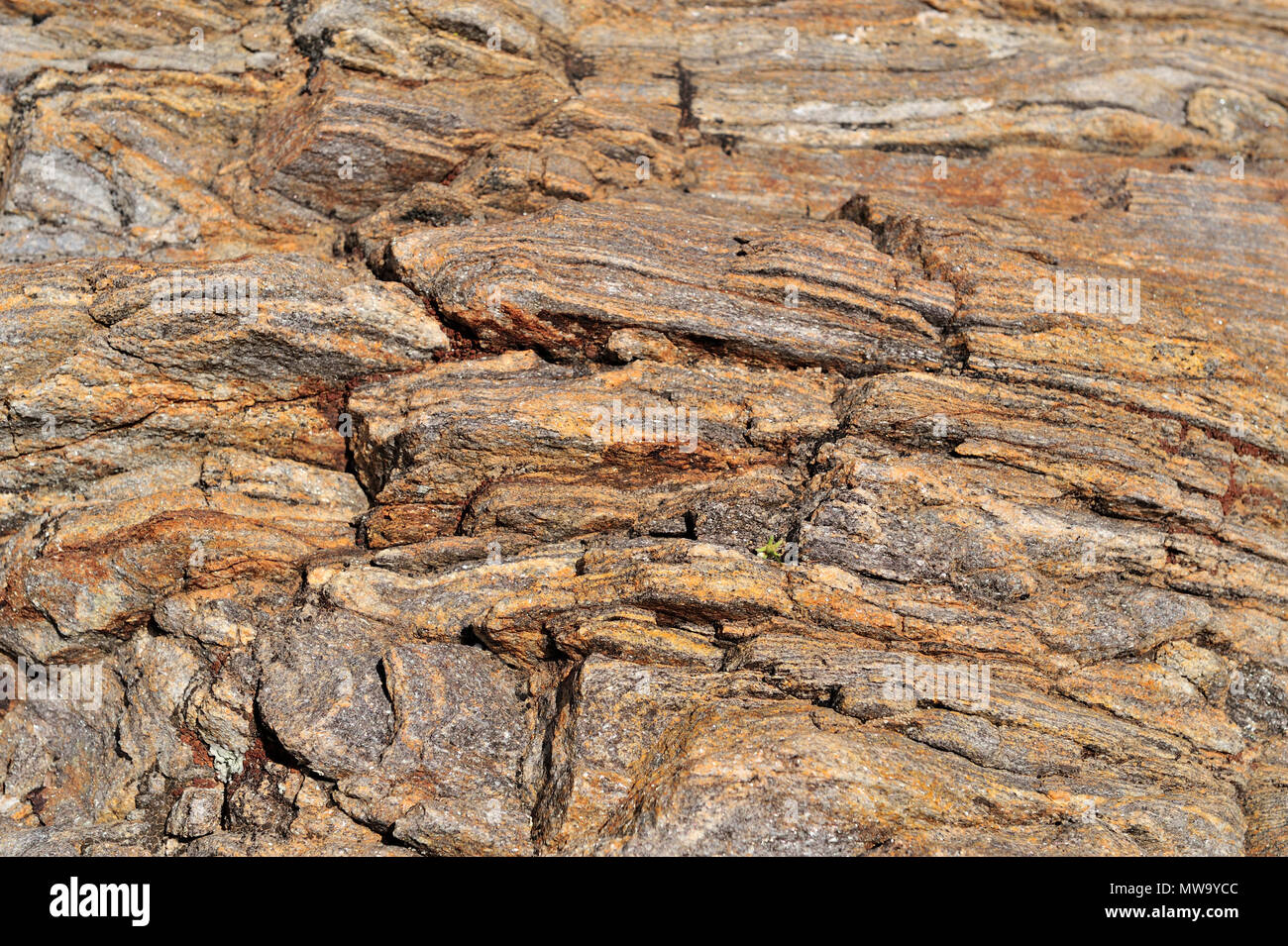 Granit métamorphique, Cool, Anza-Borrego Canyon State Park, CA 35206 100327 Banque D'Images