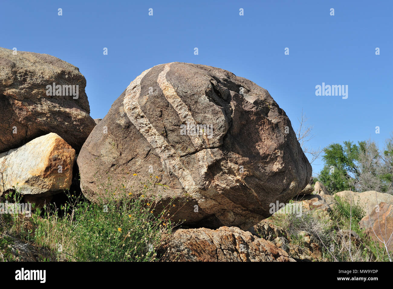 Avec veine rock monzogranite aplitiques, Cool, Anza-Borrego Canyon State Park, CA 35216 100327 Banque D'Images