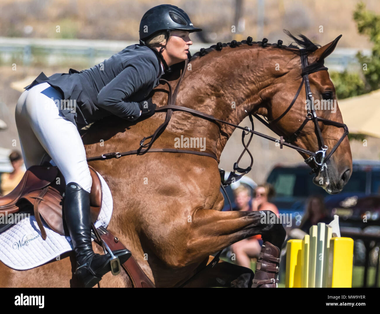 Le cheval et le cavalier au saut d'intimité de l'hôtel del mar horsepark Banque D'Images