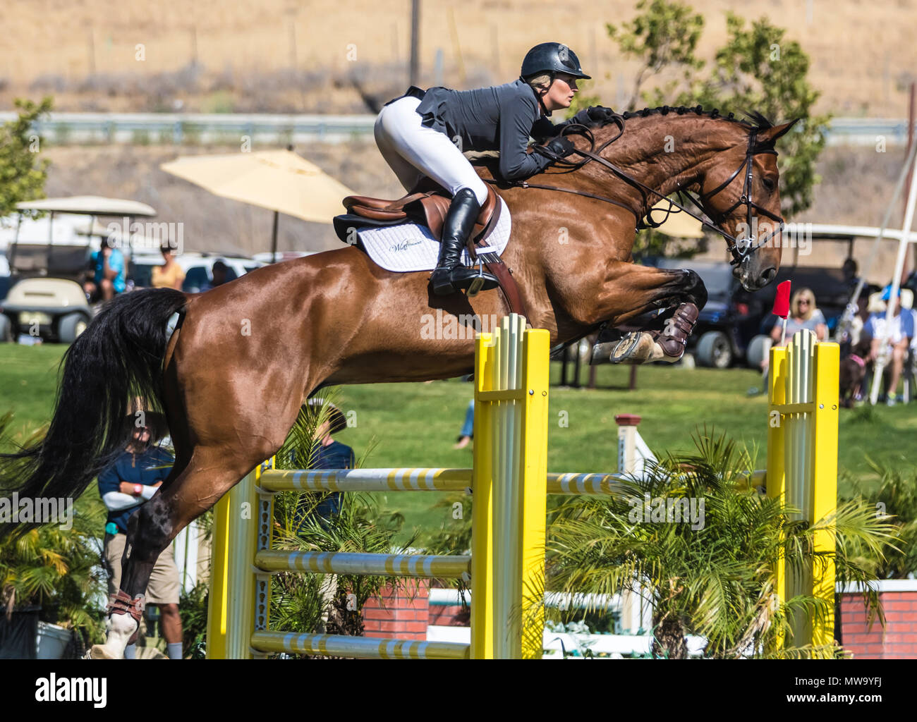 Le cheval et le cavalier au saut d'intimité de l'hôtel del mar horsepark Banque D'Images