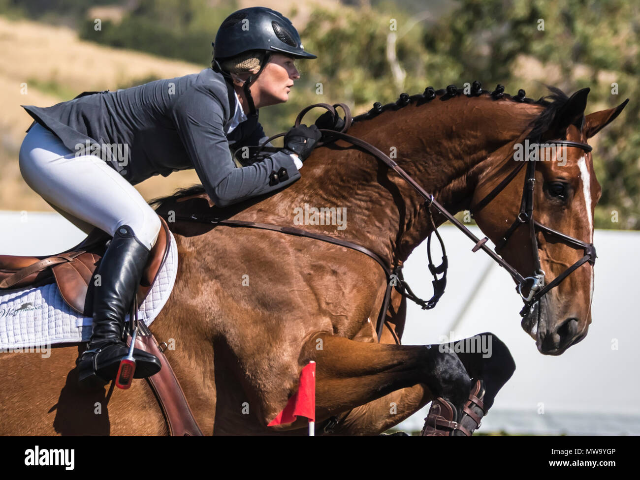 Le cheval et le cavalier au saut d'intimité de l'hôtel del mar horsepark Banque D'Images