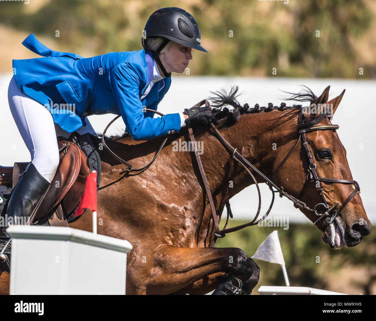 Le cheval et le cavalier au saut d'intimité de l'hôtel del mar horsepark Banque D'Images