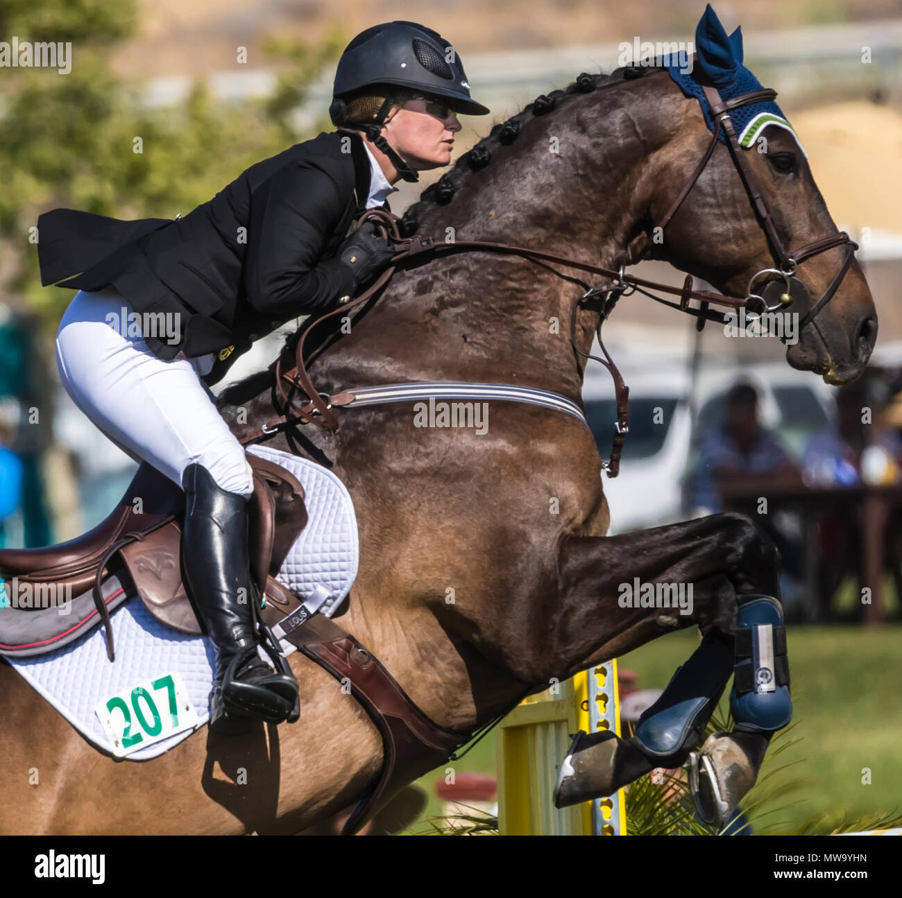 Le cheval et le cavalier au saut d'intimité de l'hôtel del mar horsepark Banque D'Images