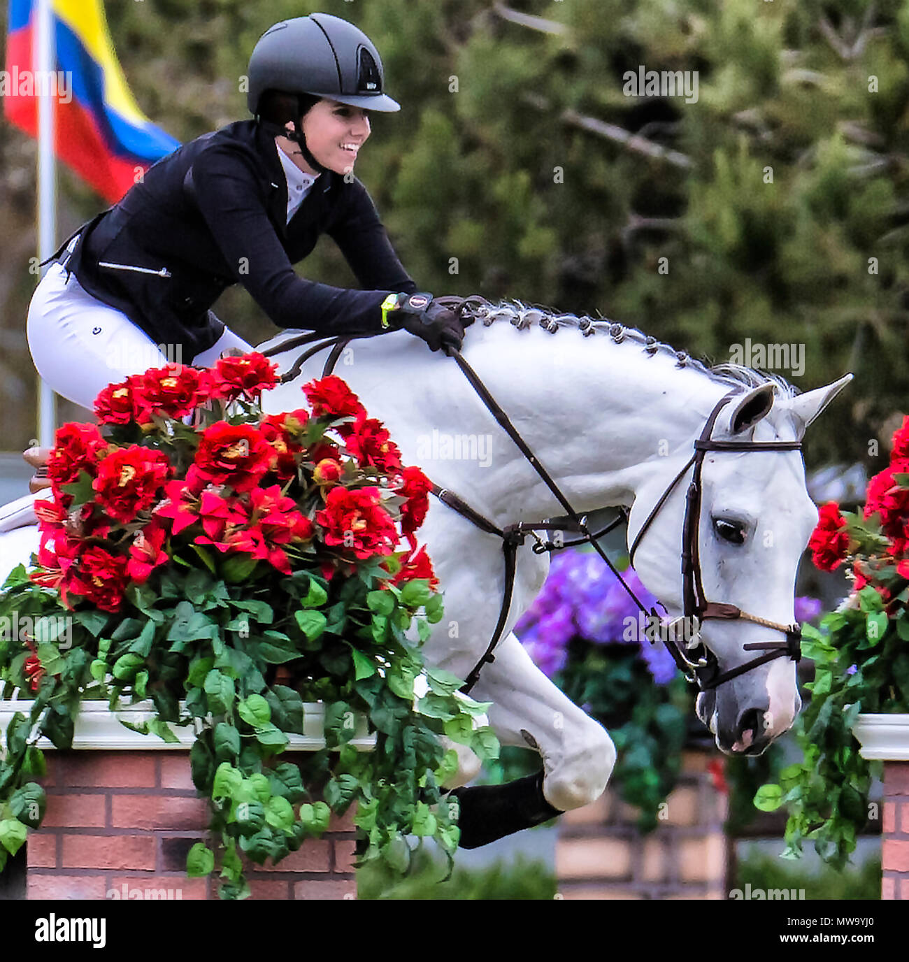 Le cheval et le cavalier au saut d'intimité de l'hôtel del mar horsepark Banque D'Images