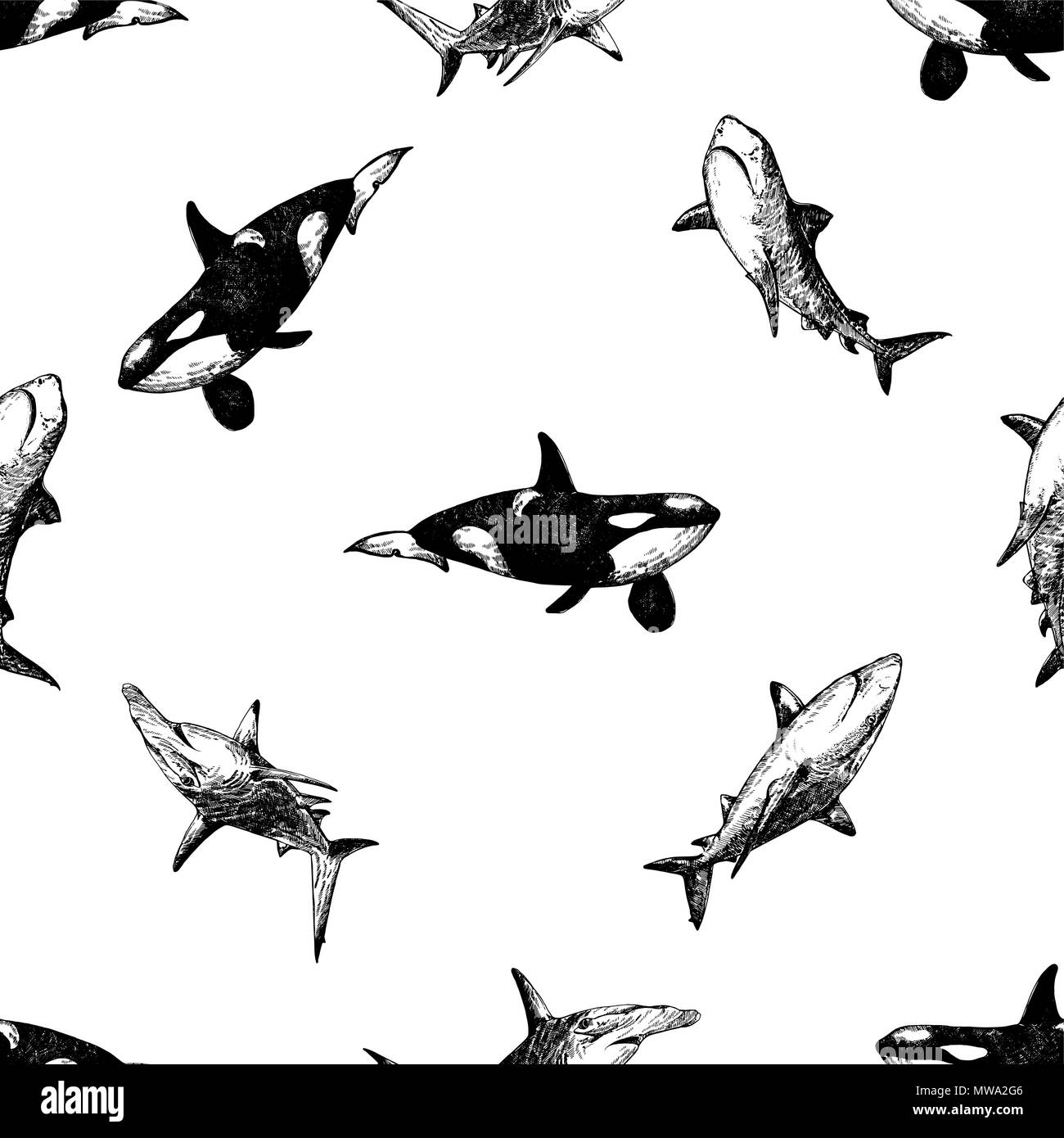 Motif de la main transparente style croquis orques et requins isolé sur fond blanc. Vector illustration. Illustration de Vecteur