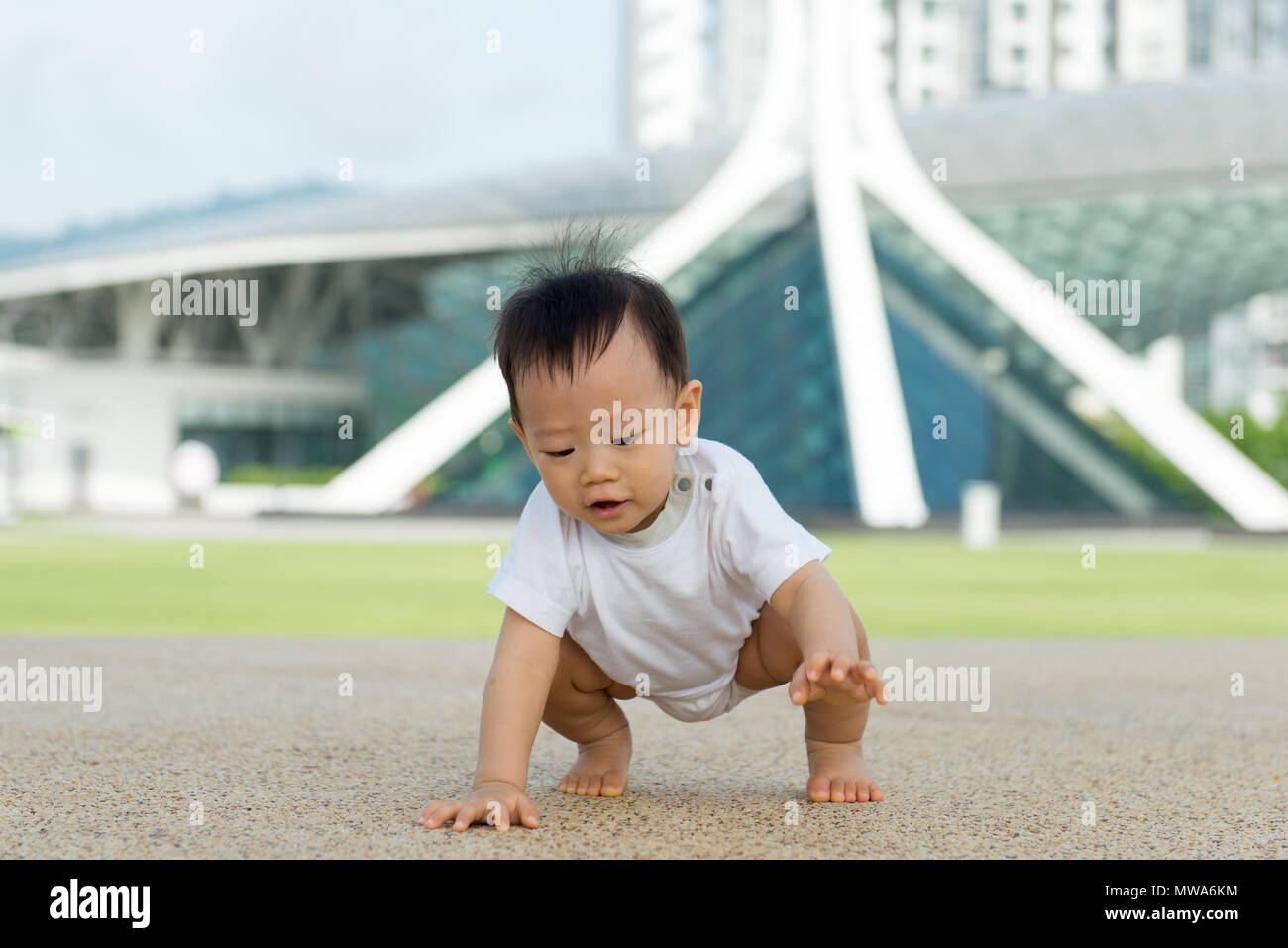 Asian baby boy crawling in park Banque D'Images