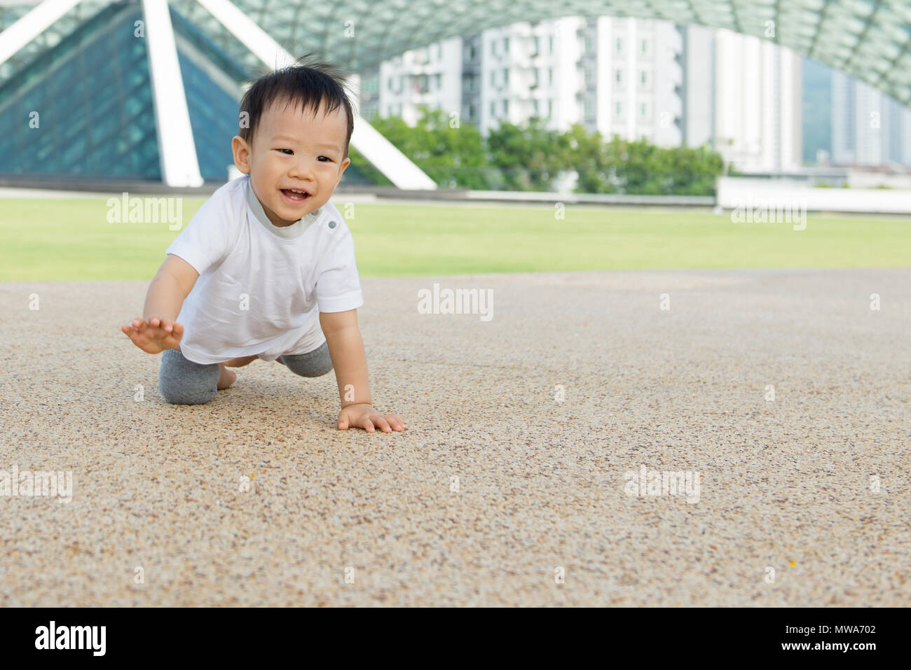 Asian baby boy crawling in park Banque D'Images