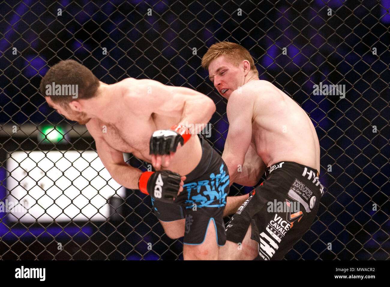 Dean Garnett hits Michael Tobin avec un spinning kick à PBR 54 à Manchester, au Royaume-Uni. Le spinning kick parquet Tobin et gagné une deuxième série grenat KO win. Championnat absolue Berkut, Mixed Martial Arts, MMA lutte. Banque D'Images