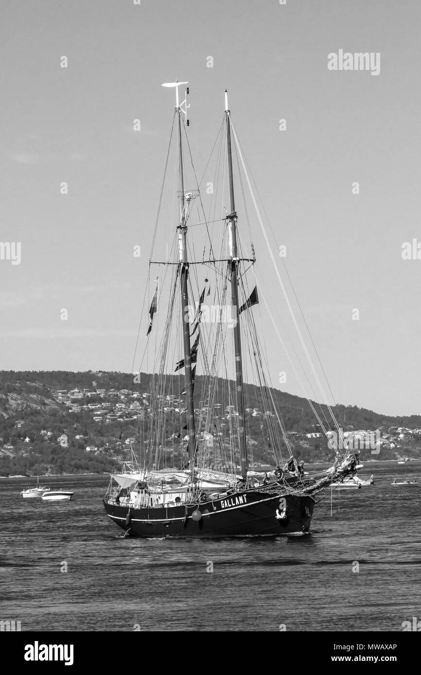 Course des grands voiliers 2014 Bergen. La Dutch gaff schooner 'Gallant' entrant dans le port de Bergen, Norvège Banque D'Images
