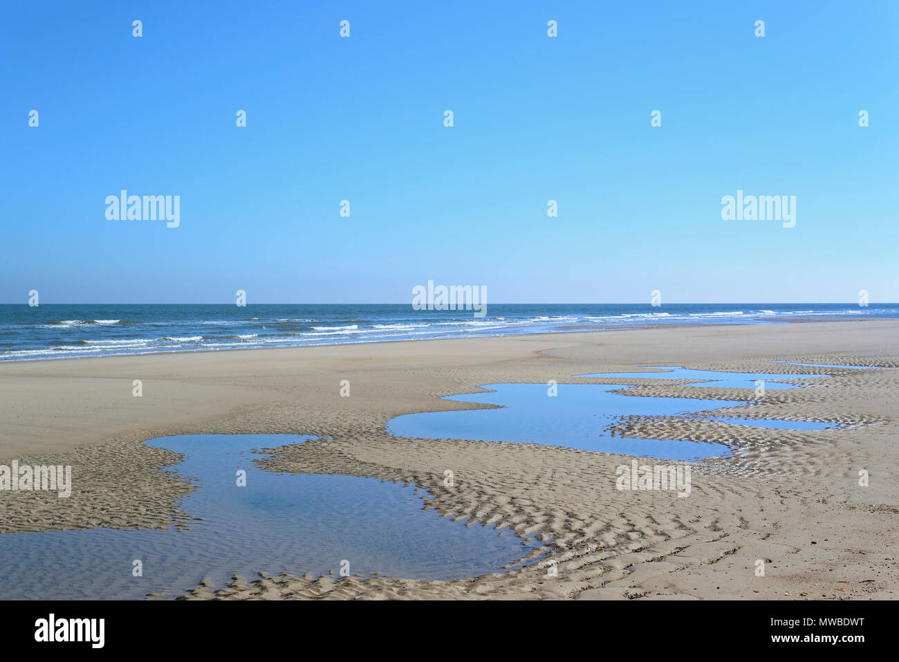 Plage à marée basse, structure en forme de vague, dans le sable humide, Mer du Nord, Norderney, îles de la Frise orientale, Basse-Saxe, Allemagne Banque D'Images