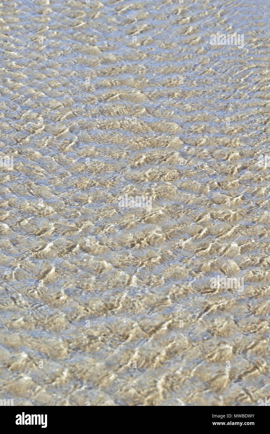 L'eau courante à marée basse, structure ondulée, full-size, Mer du Nord, Norderney, îles de la Frise orientale, Basse-Saxe, Allemagne Banque D'Images