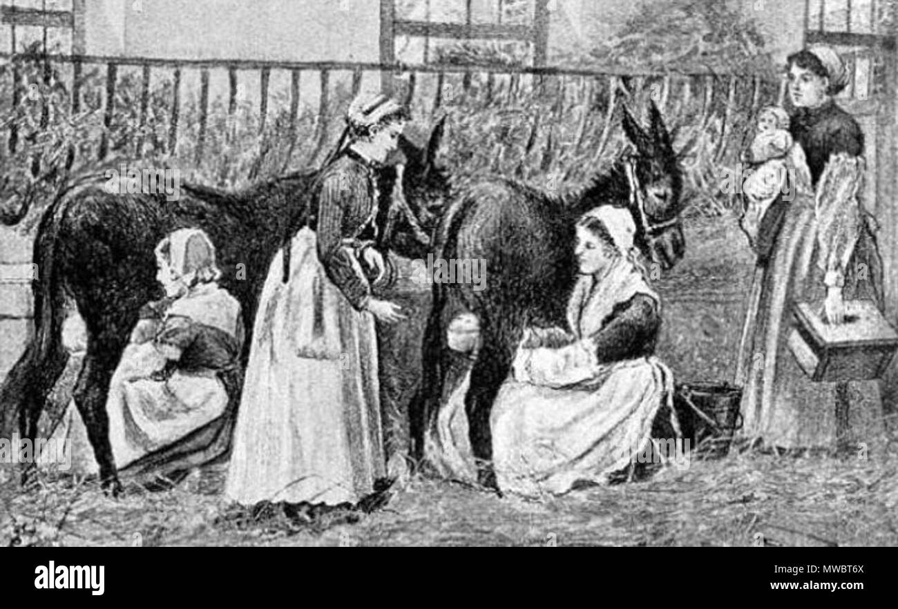 . Évaluer les enfants dans un lait institution française . 1895. S.H. Sadler 164 Soins infirmiers 1895 pis Direct Banque D'Images