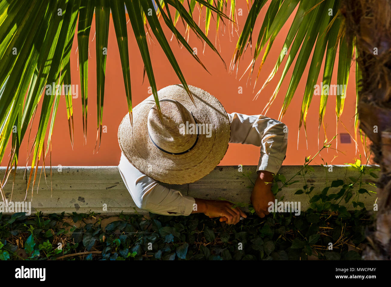 Un jardinier au travail à l'hôtel ROSEWOOD San Miguel de Allende, Mexique Banque D'Images