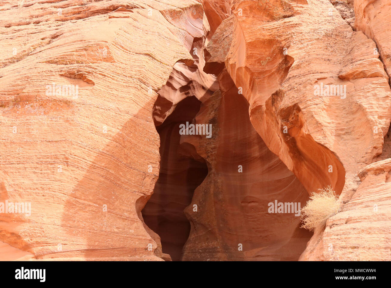 Entrée de la région de Antelope Canyon Page en Arizona. Un Navajo Tribal Park National Banque D'Images