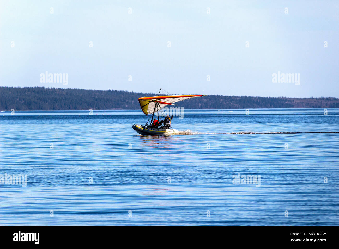 Voiles d'Hydroplane par mer Banque D'Images