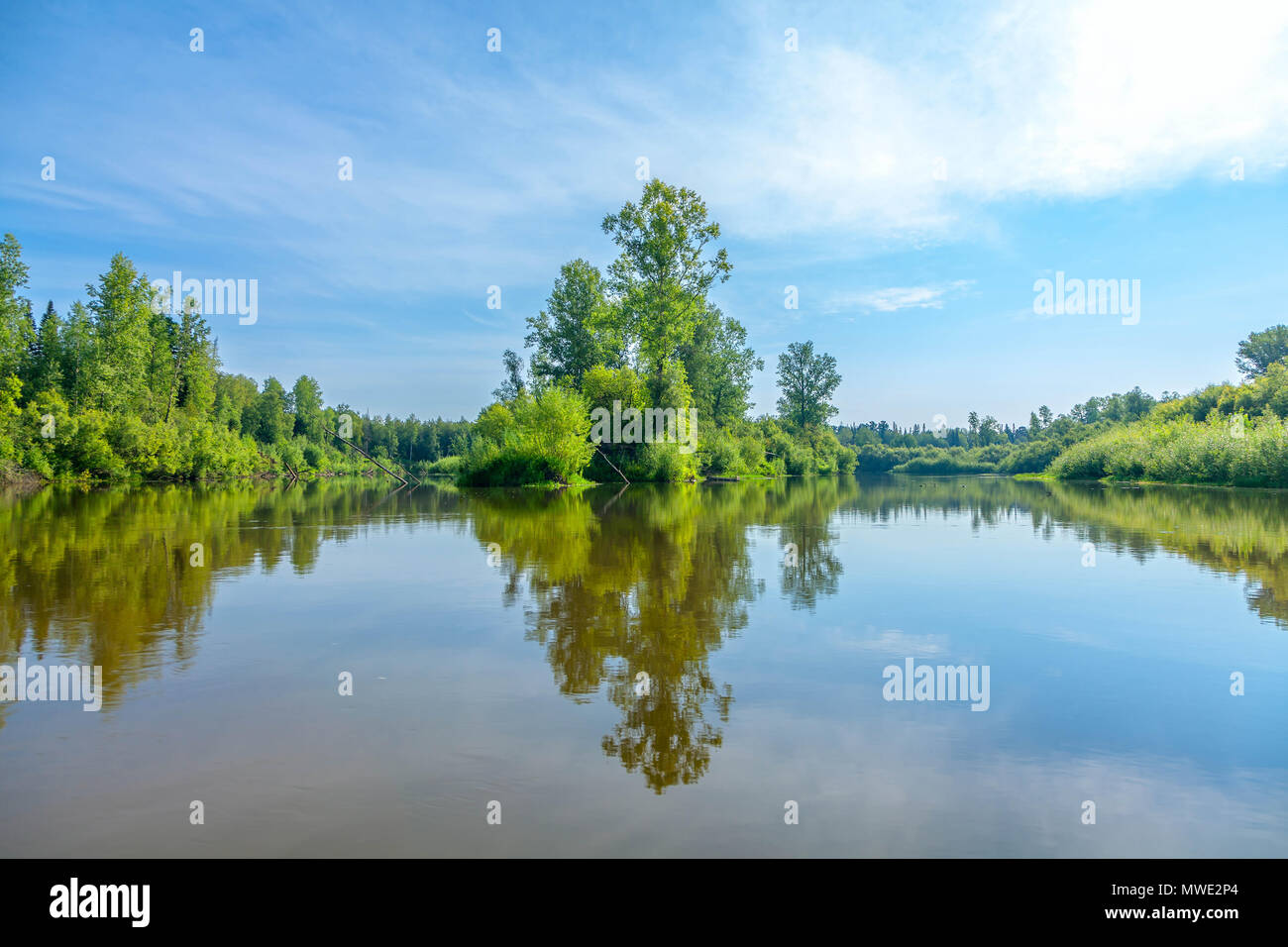 L'été en Sibérie. Chet rivière dans la région de Tomsk. Banque D'Images