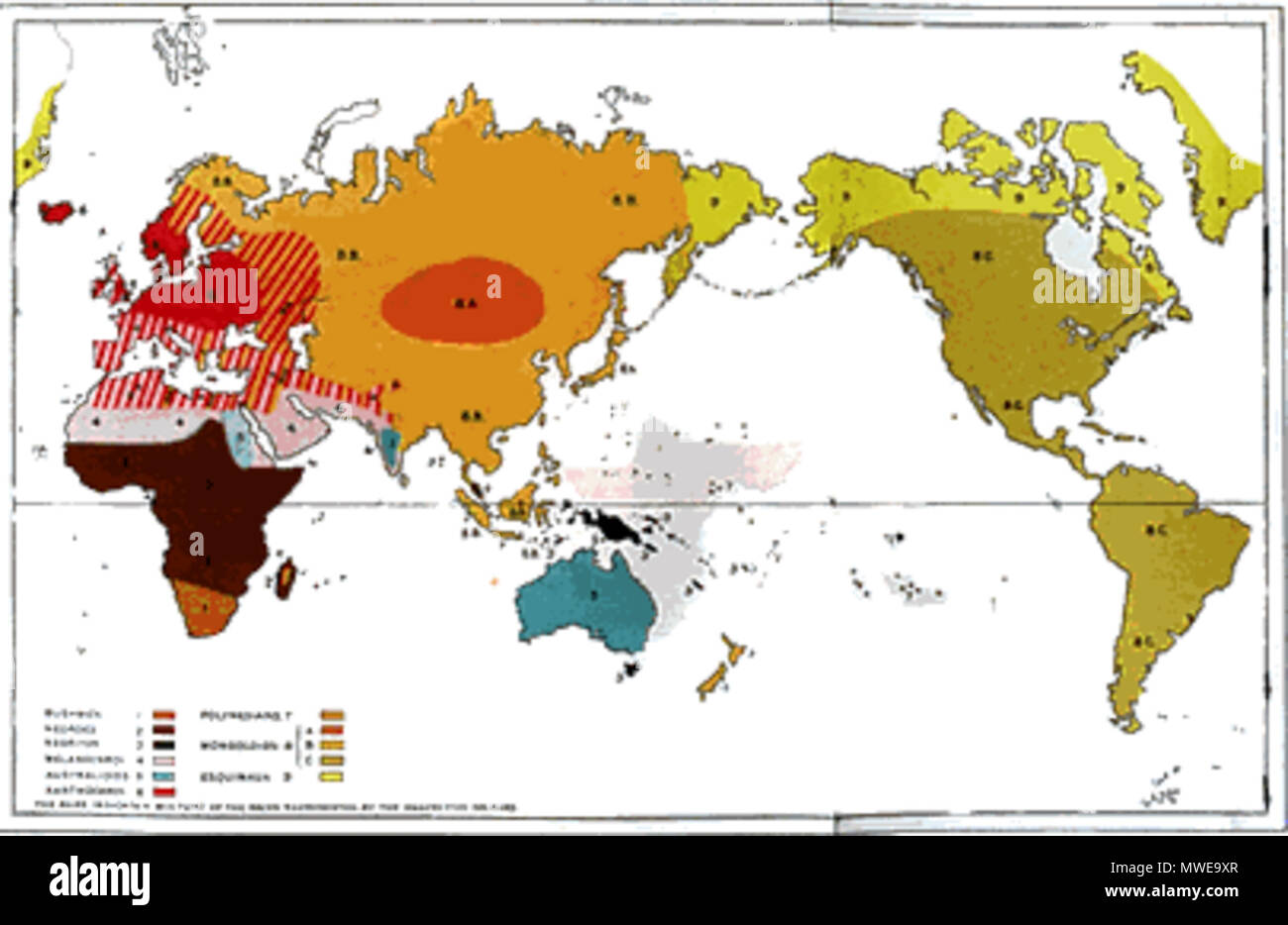 288 Huxleyraces Banque D'Images