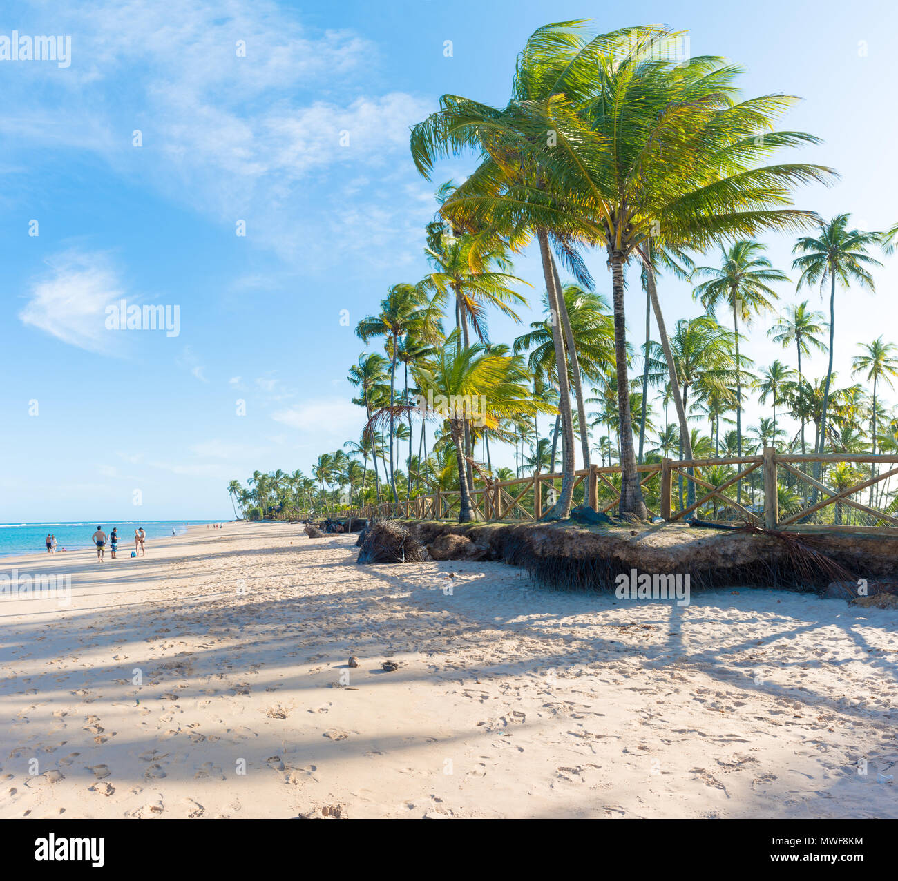 Taipu de Fora, Brésil - 8 décembre 2016 : de nombreux touristes à la plage spectaculaire à la péninsule de Marau au Brésil Banque D'Images