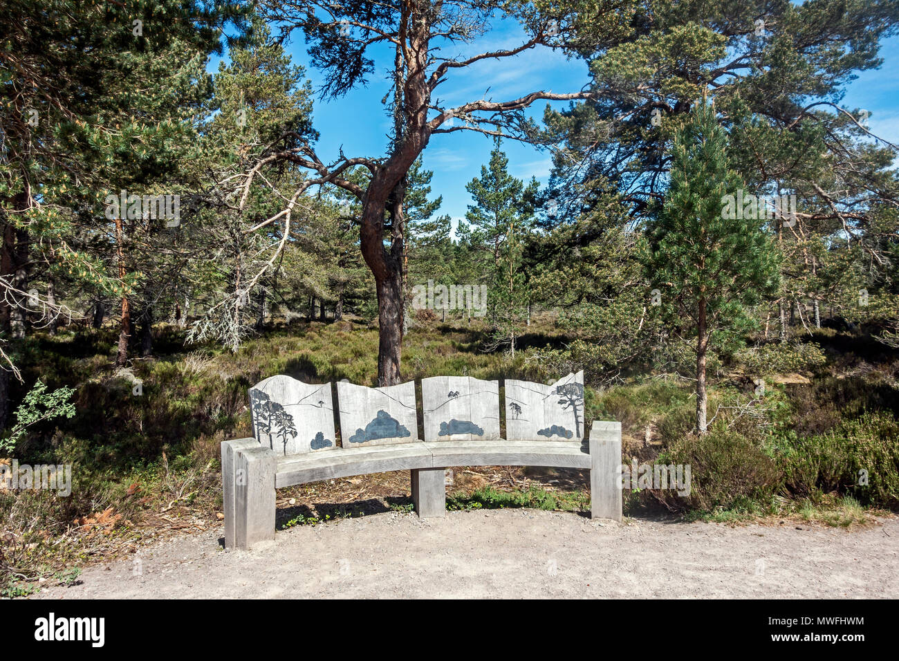 Place à la RSPB Forest Lodge dans la réserve de la Forêt nationale d'Abernethy Nethybridge Highland Ecosse Banque D'Images