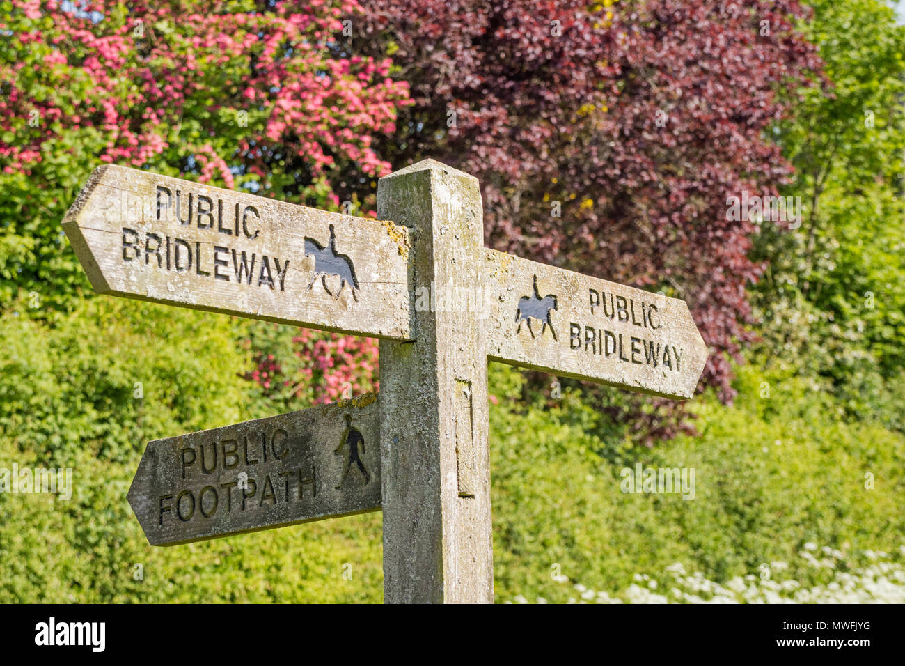 Un sentier public et droit de passage bridleway signe, England, UK Banque D'Images