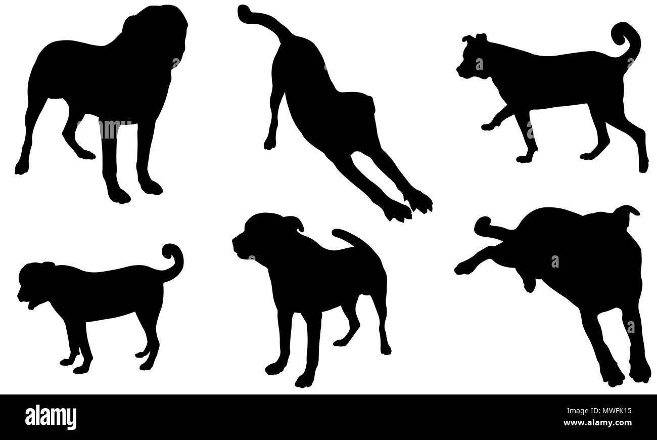 Jeu de silhouettes de chiens différents isolated on white Banque D'Images