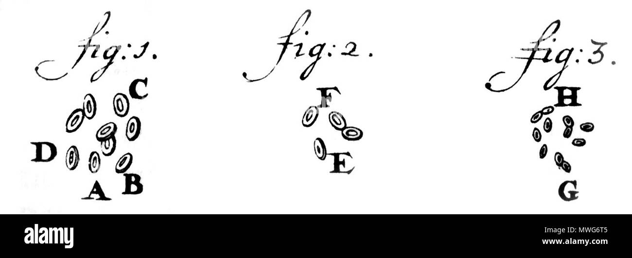 . Anglais : les globules rouges à partir de saumons, avec "Lumen" (noyau). Deutsch : Rote Blutkörperchen vom Lachs, mit "Lumen" (Zellkernen). Leeuwenhoek vit à partir de 1632 - 1723... Antoni van Leeuwenhoek Leeuwenhoek1719RedBloodCells 365 Banque D'Images