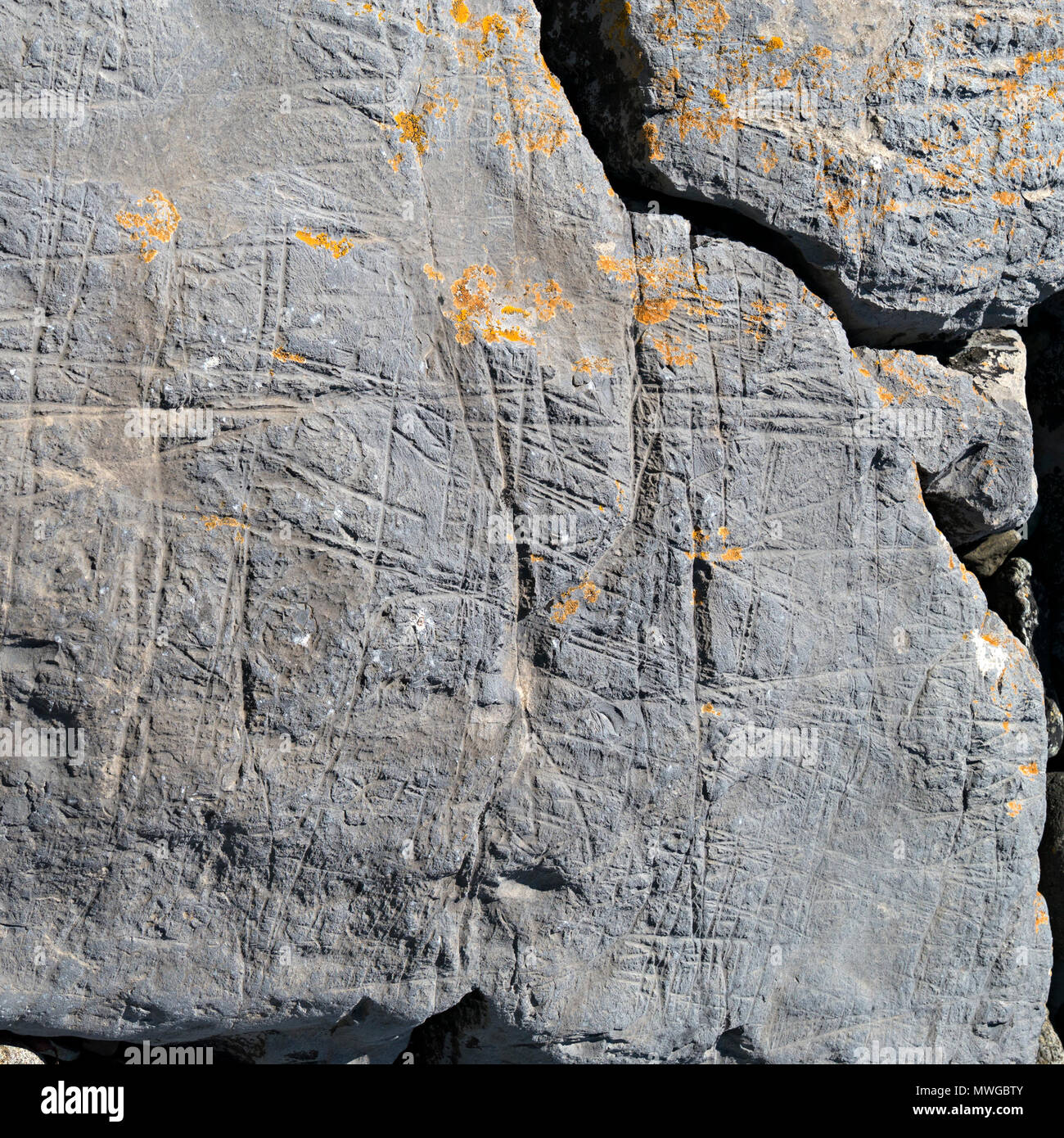 Libre de glaces en dérive multi-directionnel mudstone marques d'abrasion rock illustré dans l'image MWGBW Alamy2, Glen Scaladal Bay, île de Skye, Écosse, Royaume-Uni Banque D'Images