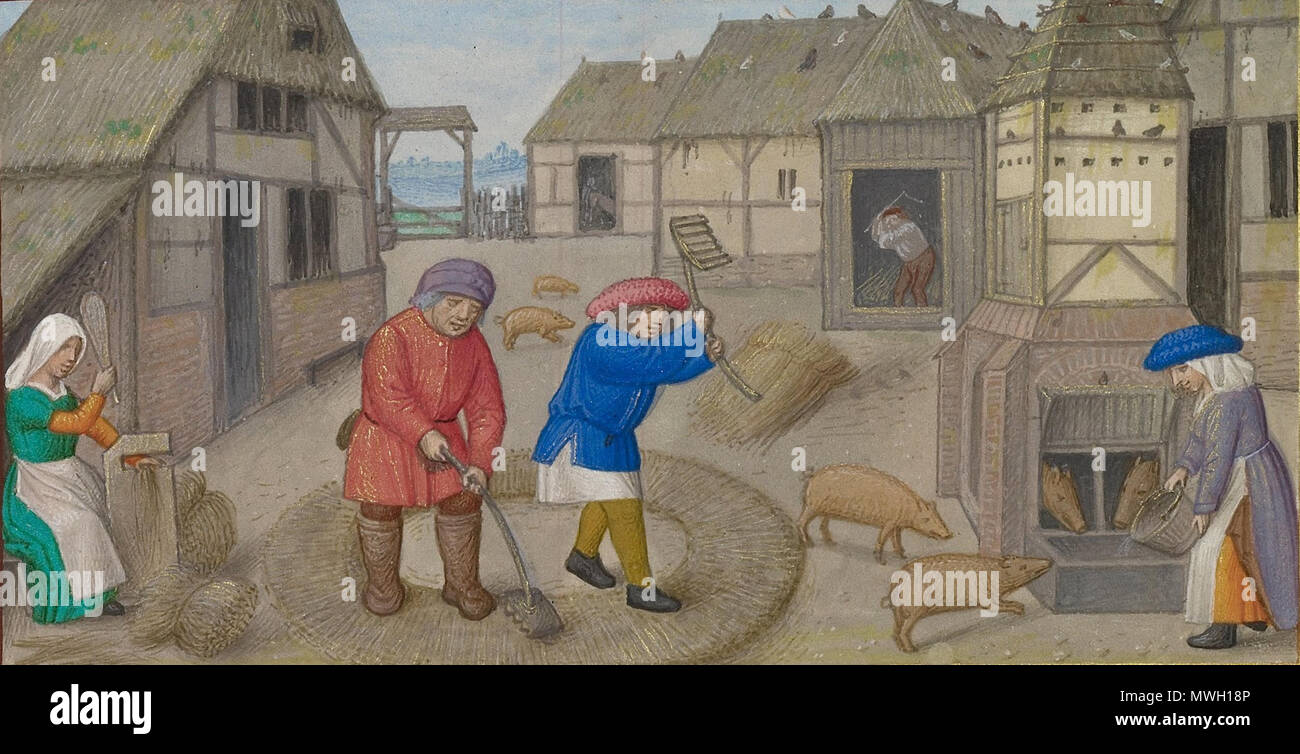 . Anglais : Récolte de [[ Fichier:Atelier du maître de Jacques IV d'Écosse (flamande, avant 1465 - à propos de 1541) - Le battage et l'alimentation des porcs ; signe du Sagittaire - Google Art Project.jpg]] . 7 juillet 2013, 23:06:28. Atelier du maître de Jacques IV d'Écosse 405 PigFeeding MasterofJamesIVThreshing&amp; Banque D'Images