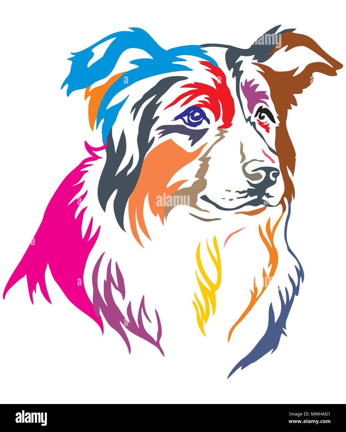 Portrait décoratives colorées de chien Border Collie, vector illustration en différentes couleurs isolé sur fond blanc Illustration de Vecteur