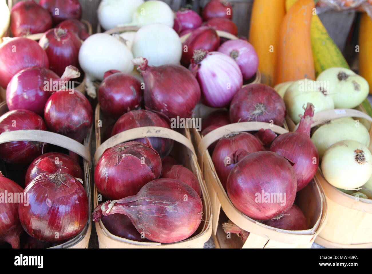 Oignons rouges et blancs dans des paniers dans un marché de producteurs Banque D'Images