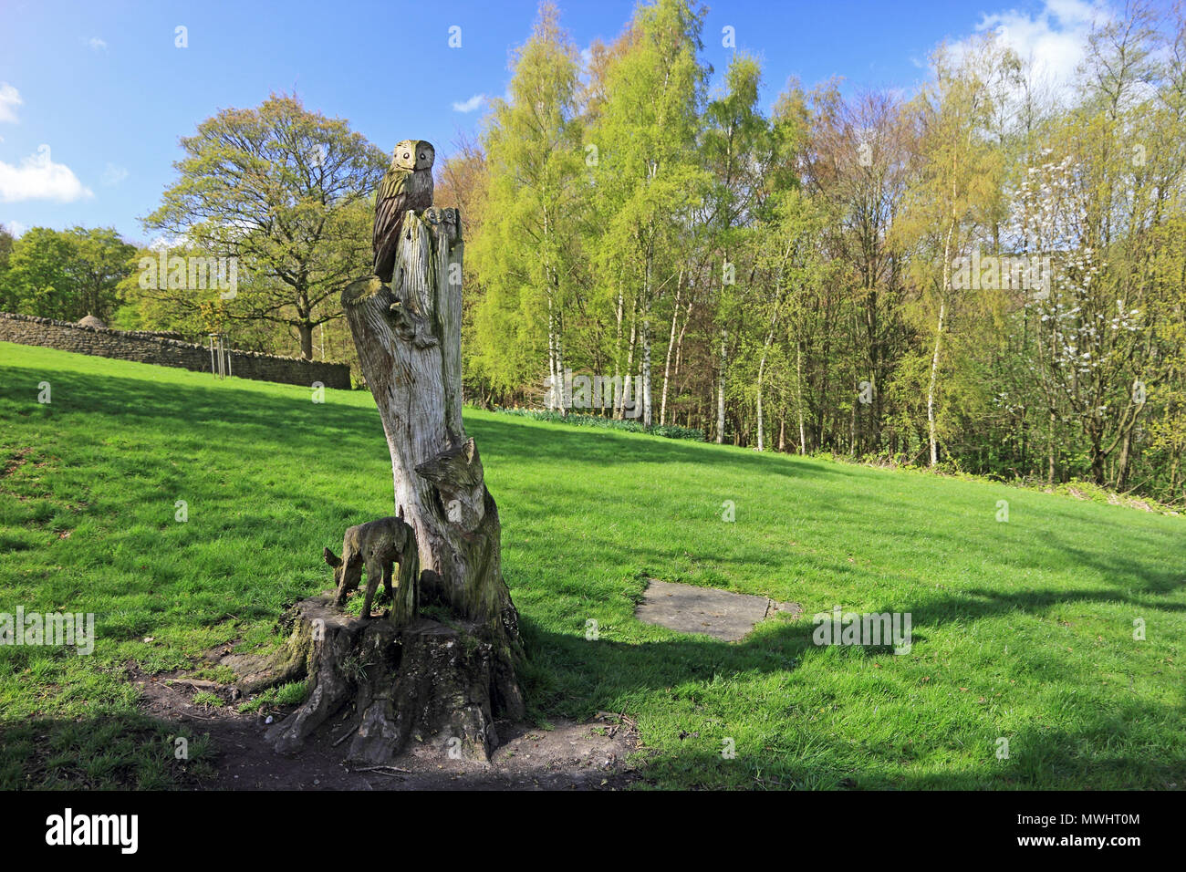 Souche d'arbre sculpté dans un hibou, Owlets, écureuil et renard, Halifax, Halifax Park Banque D'Images