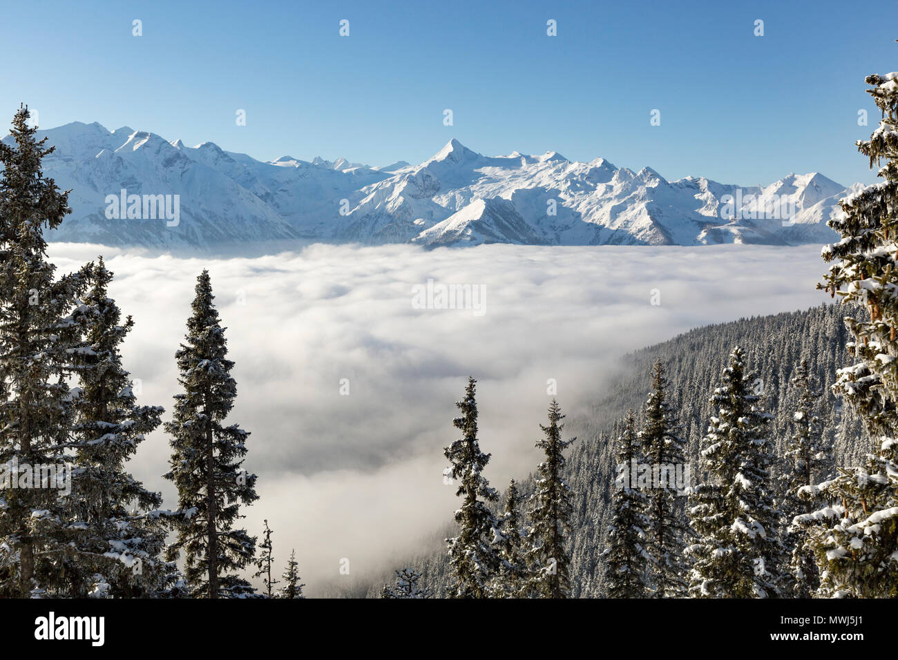 Alpine valley rempli de nuages bas et de sapins couverts de neige à Zell Am See, Autriche Banque D'Images