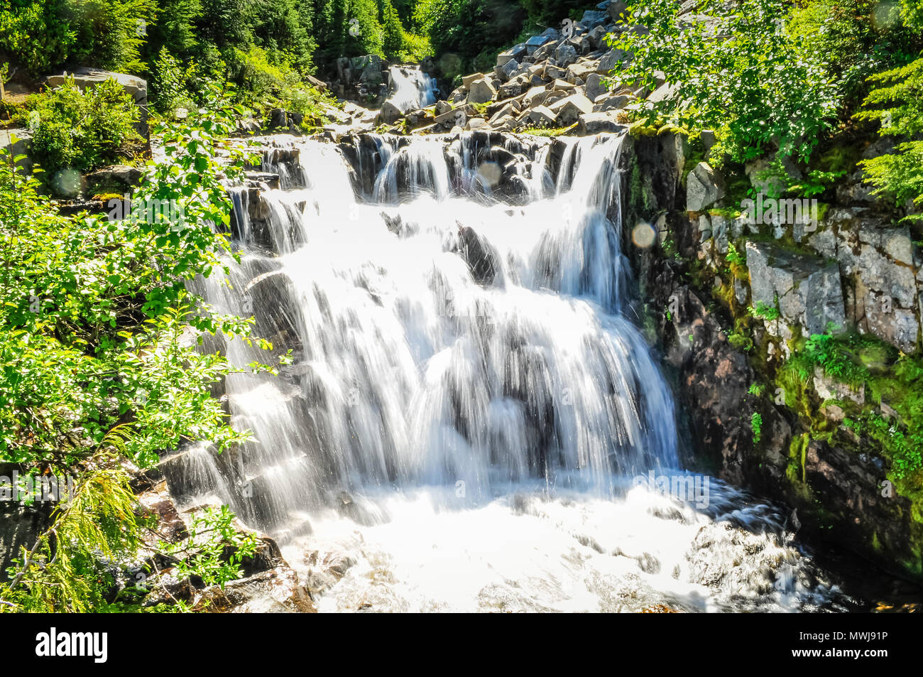 Cascades en Mt. Rainier National Park, USA, la fin de l'été 2011 Banque D'Images