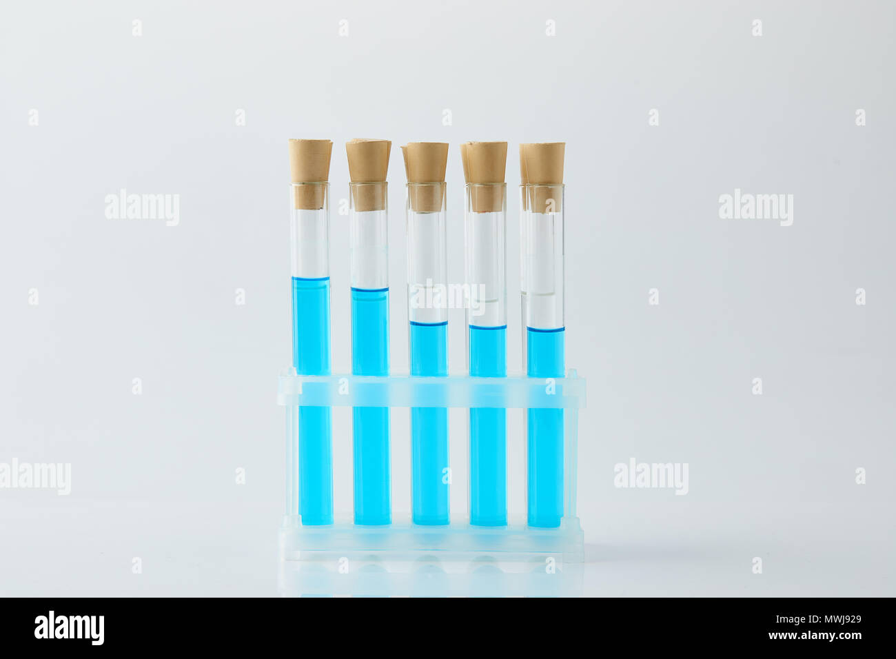 Rangée de tubes à essai remplis de liquide bleu sur support Banque D'Images