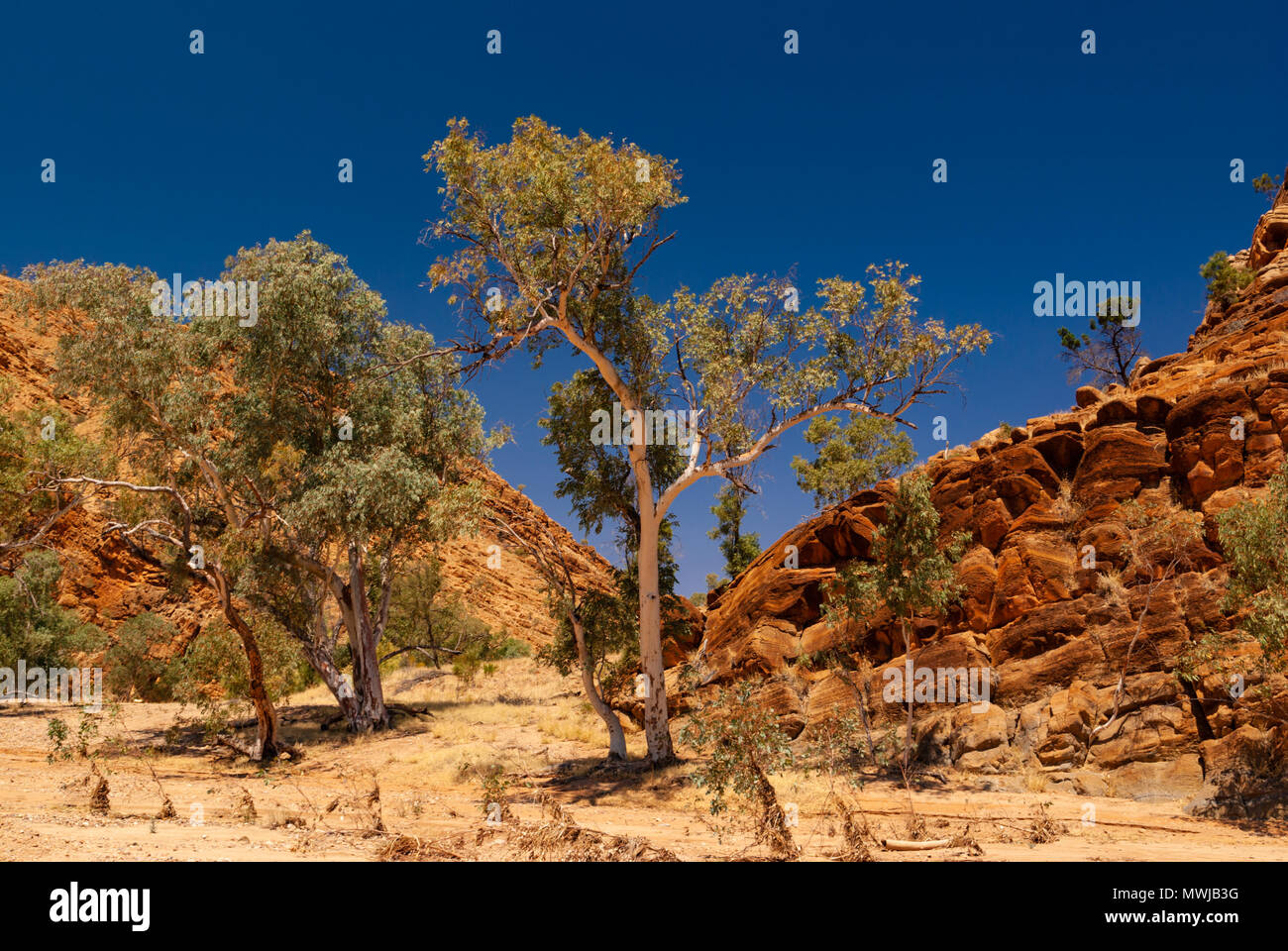 East MacDonnell près d'Alice Springs, Territoires du Nord, Australie Banque D'Images