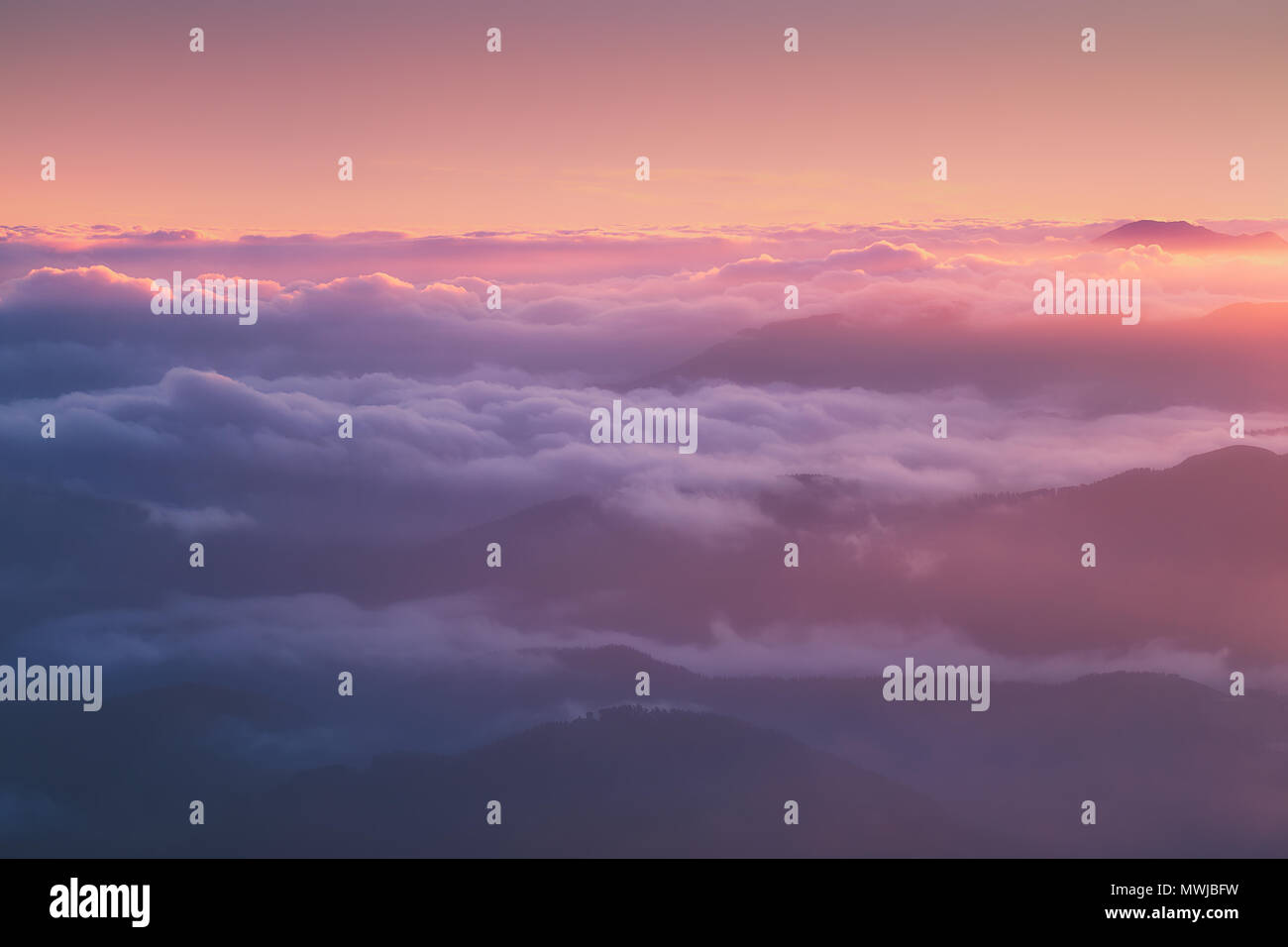 Sur fond de montagnes lointaines Banque D'Images