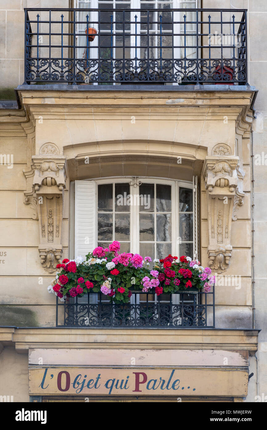 Géraniums colorés le long d'une fenêtre balcon à Montmartre, Paris, France Banque D'Images