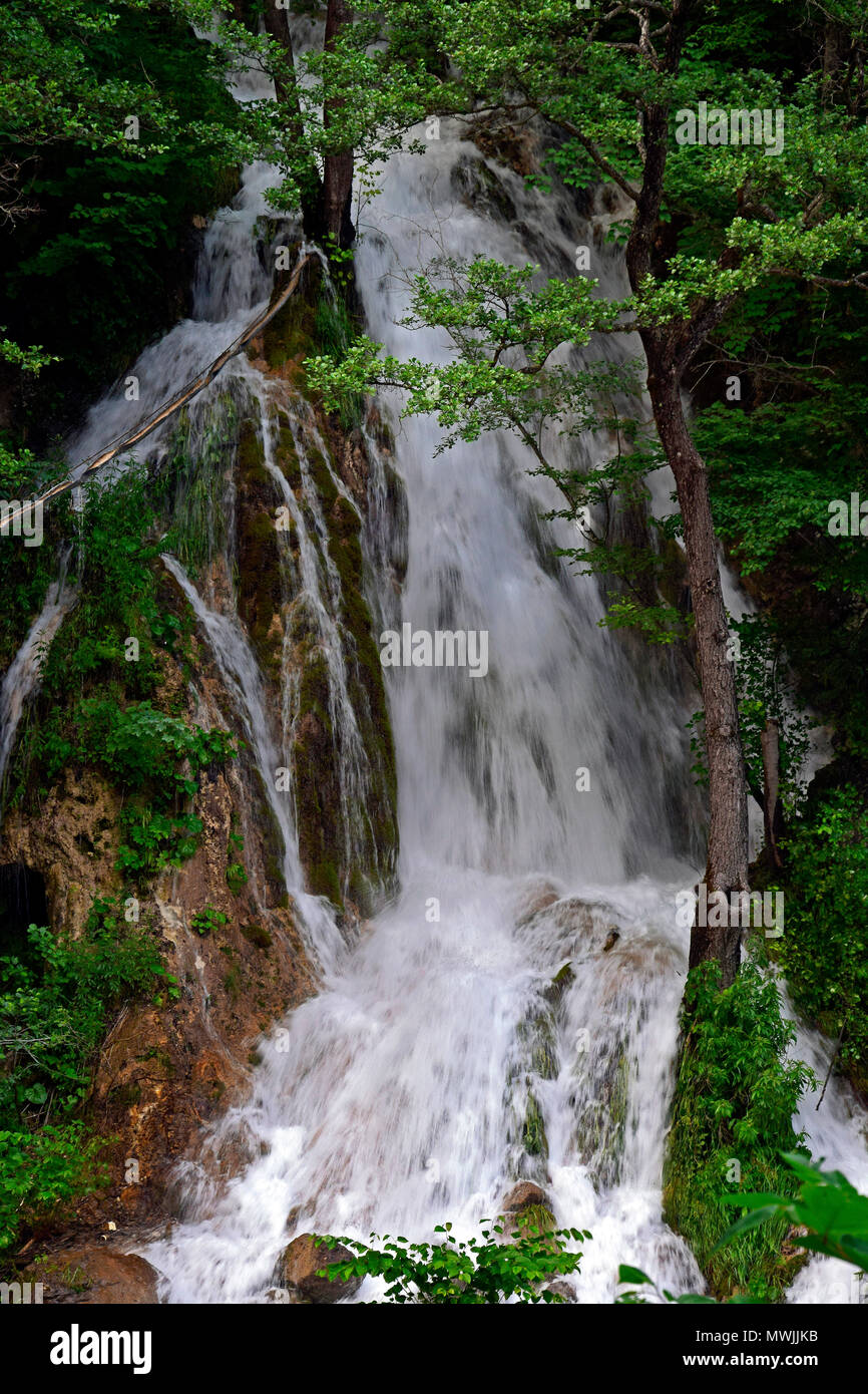 Le Șipote cascade, à Mt. Trascău, de montagnes Apuseni, Roumanie Banque D'Images