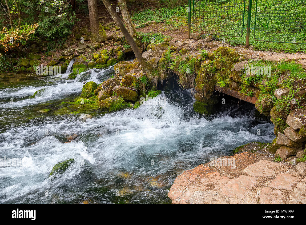 La source de la rivière Bosna dans nature park Vrelo Bosne, près de Sarajevo, Bosnie-et-Herzégovine. Banque D'Images
