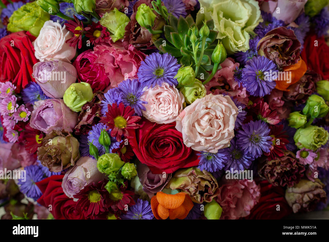 Une collection de beaux et de fleurs colorées. Banque D'Images