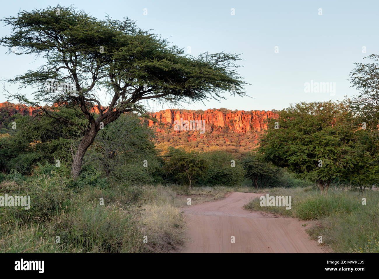 Le Waterberg Plateau Park, Namibie, Afrique Banque D'Images