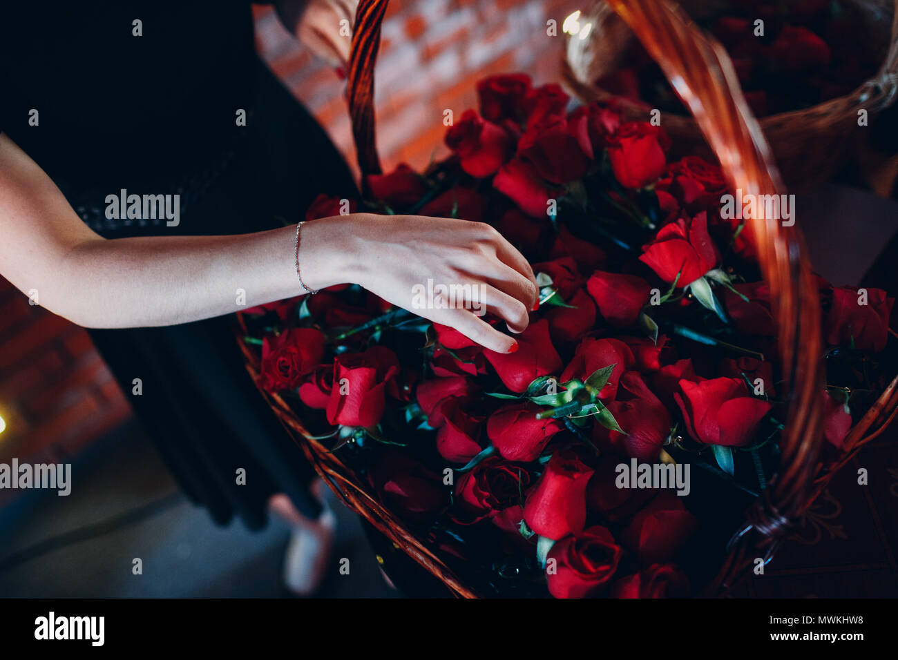 La main féminine et un panier avec des roses rouges Banque D'Images